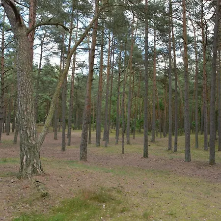 Domyletnie Duzy Dom 140m2 Z Dzialka