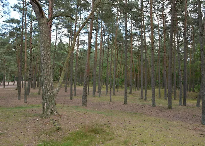 Domyletnie Duzy Dom 140m2 Z Dzialka